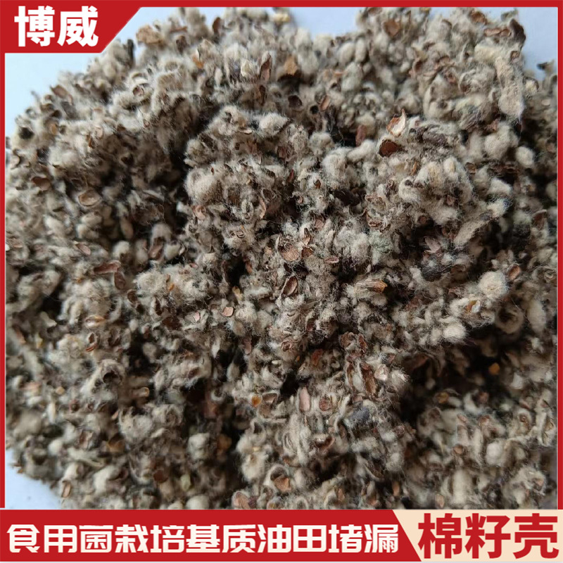 现货批发棉籽壳 棉渣蘑菇木耳食用菌培育油田堵漏棉壳