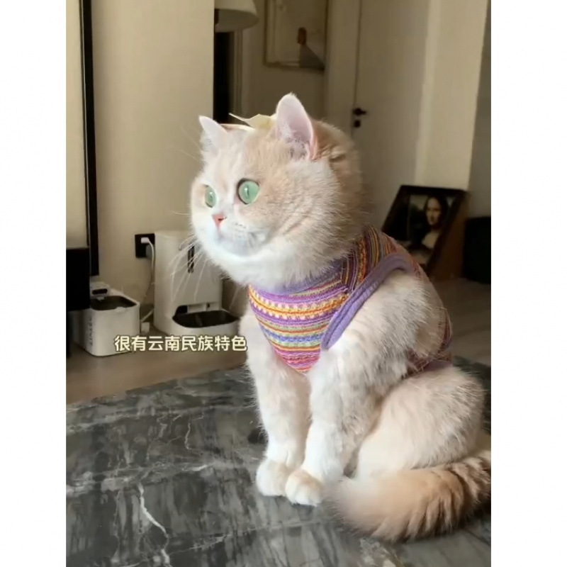Cute ropa de gato de verano delgada hueco chaleco de tejido de color con hebilla de tracción muñeca gato chaleco de oro
