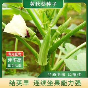 �S�����l���|�߮a�S����N�ӷN�Ѹ߮aˮ������ļ������߲��ݴ�ȫ