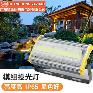 LEDͶ����������50w100w ģ�M��������̸������^���� 220V�߉�