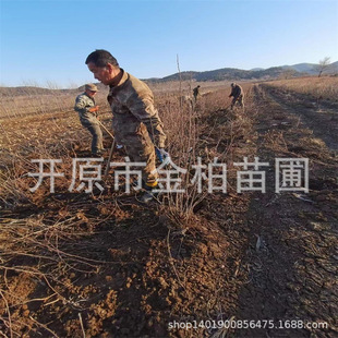 �༾��÷�ͺ��༾õ��|���ļ�õ��䅲���t��õ���̘���õ����