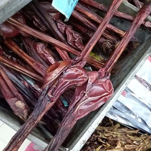 ���ɹ�ţ�޸�؛���� ��֧��� �߱��� �H�� ���� ������؛��؛