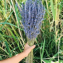 批发薰衣草干花花束自然家居装饰干花新疆伊犁香薰花束