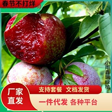 һ�����l���Ә���޽�����Ó��������ӹ����箔��Y���ϱ����N��