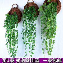 绿萝客厅挂墙绿植壁挂植物装饰垂吊假花藤条室内藤蔓吊兰吊篮厂家