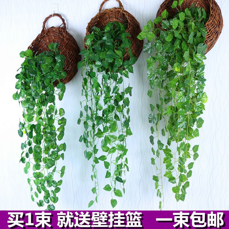 绿萝客厅挂墙绿植壁挂植物装饰垂吊假花藤条室内藤蔓吊兰吊篮厂家