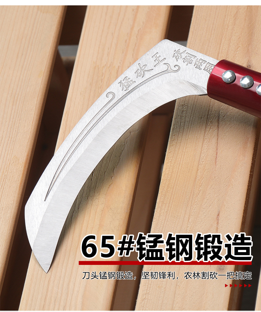 未标题-1_05.jpg