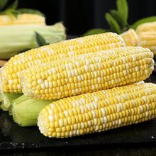 Ͻyˮ׳Ա{װlrԷN@Ŵ