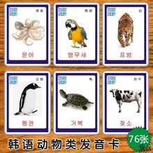 动物卡片教具教具配件启蒙彩色自闭症迟缓教学玩具卡片基础认知