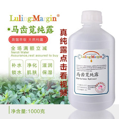 野生马齿苋纯露舒护肌肤温润补水湿敷爽肤精华水马齿苋提取液厂家