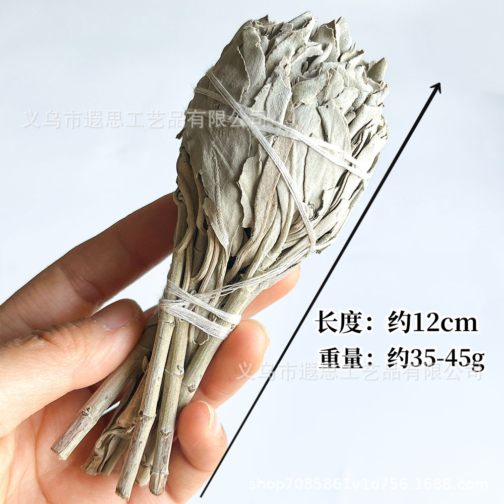 トーチセージ 約35～45g