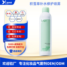 OEM定制B5积雪草补水喷雾贴牌舒缓修护清爽保湿爽肤水ODM代加工
