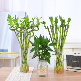 ˮ���D�\���^�����҃ȿ͏dˮ�B�����_�\���ҕ��ˮ�����ܾGֲ����