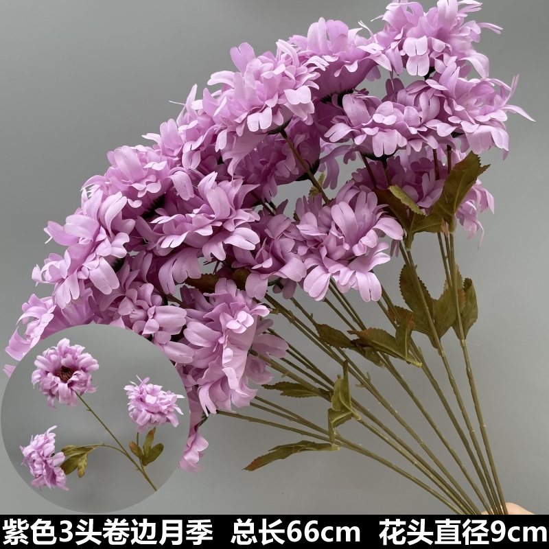 보라색 곱슬 장미