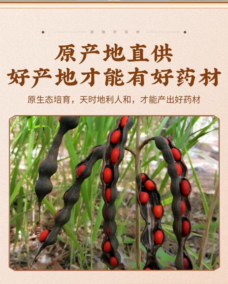 Xiang Si Dou Red Jequirity Bean 500g Dried Abrus precatorius Seeds Traditional Herbal Ingredient key features
