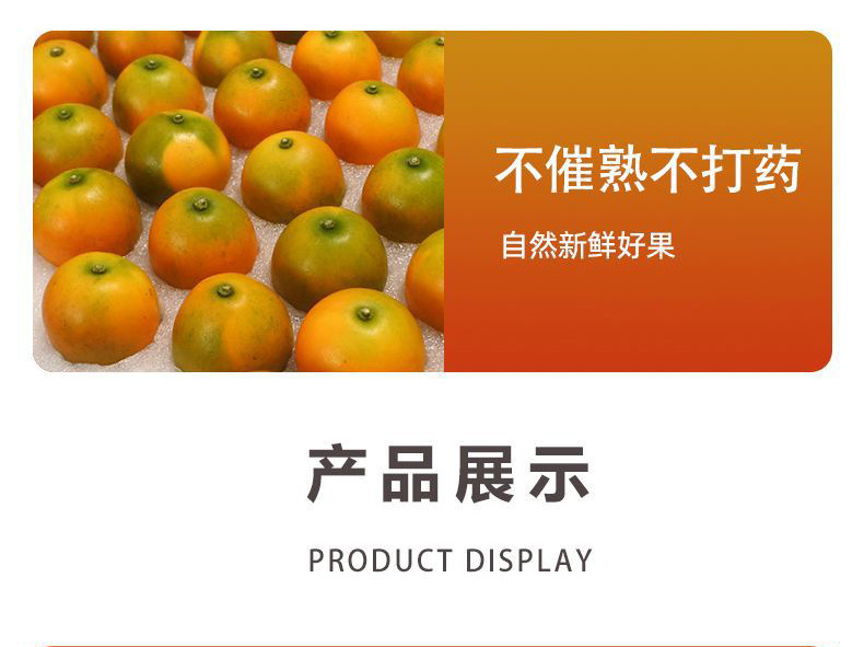 O1CN01P16Ofx1DPJBR7jjWs_!!2215