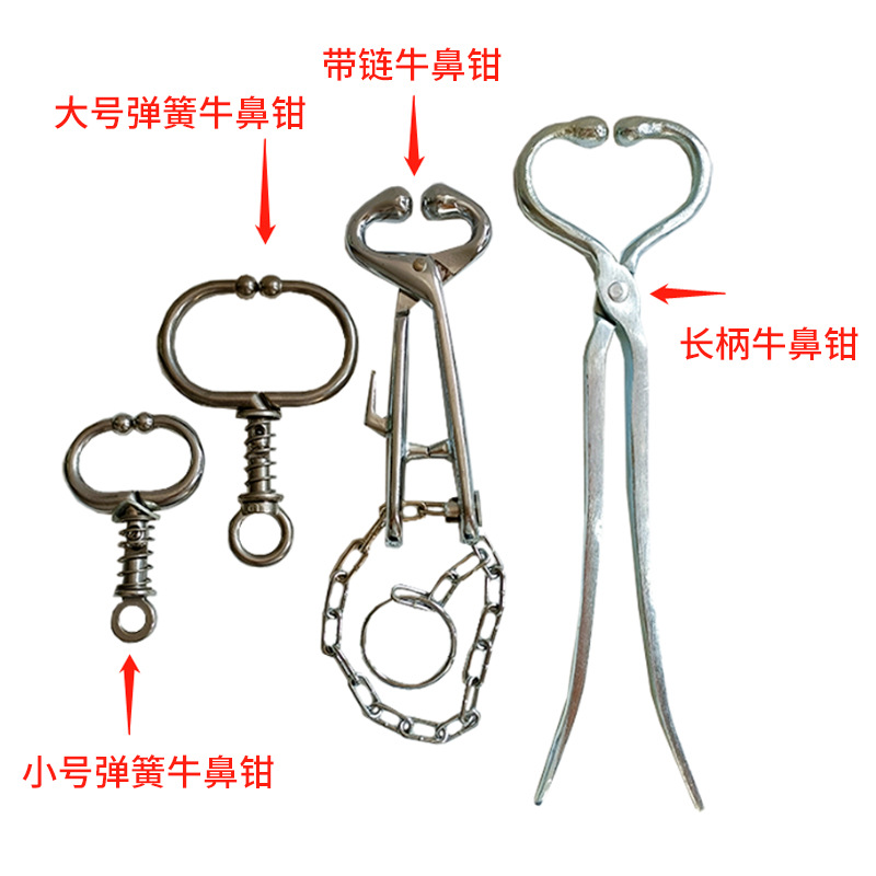 Pinzas de nariz de buey pequeño resorte grande resorte con cadena de mango largo de metal pinza de nariz de buey perforación pinza de nariz de buey sin agujeros