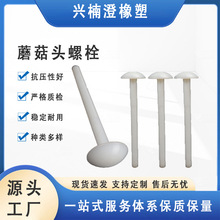 厂家现货 蘑菇头尼龙铁芯螺丝  蘑菇头螺栓 冷库板常用螺栓