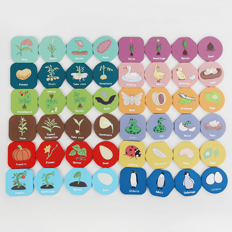 Bandeja de ciclo de crecimiento de madera transfronteriza juguetes pequeños juguetes de iluminación para niños educación temprana educativa deducción juguetes adornos