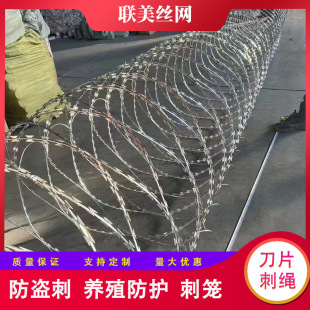 Fencing with High-Speed Rail Barbed Wire, Steel Wire Rope, Anti-Climb School Security Wire Mesh, Barbed Wire Cage, Barbed Net