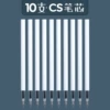 CS, 10 шт.