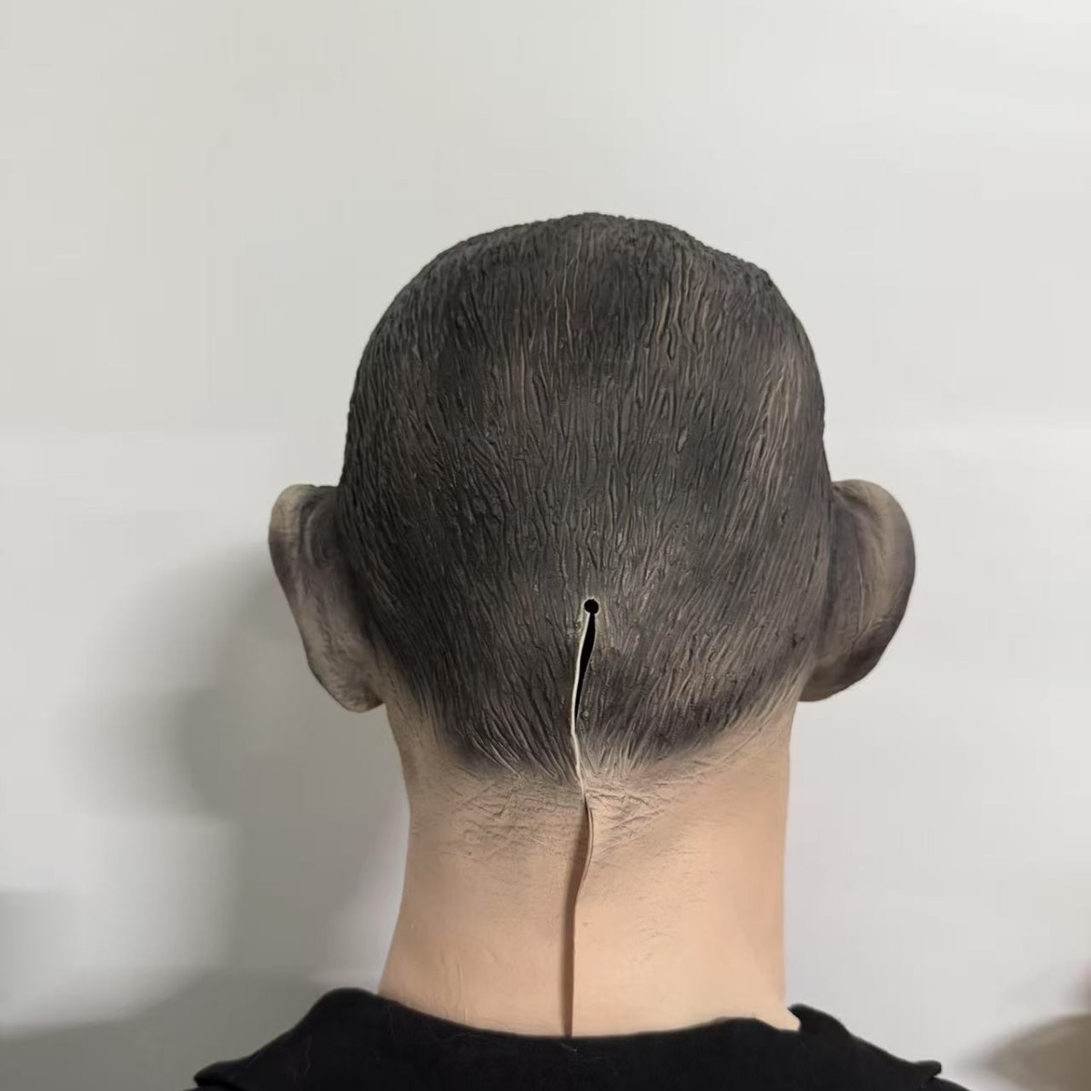 Gorila gorilla gorilla