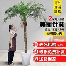 �Ꭷ����ͥԺ�Gֲᘿ��ؙ����҃ȑ��ⱱ�W�L�L��Ҭ�Ә�ֲ���̨�o