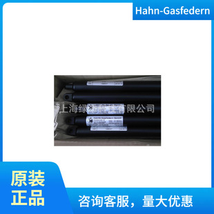 ����ȫ�� HAHN-GASFEDERN ���s���� Art.-Nr.130897.1 250N