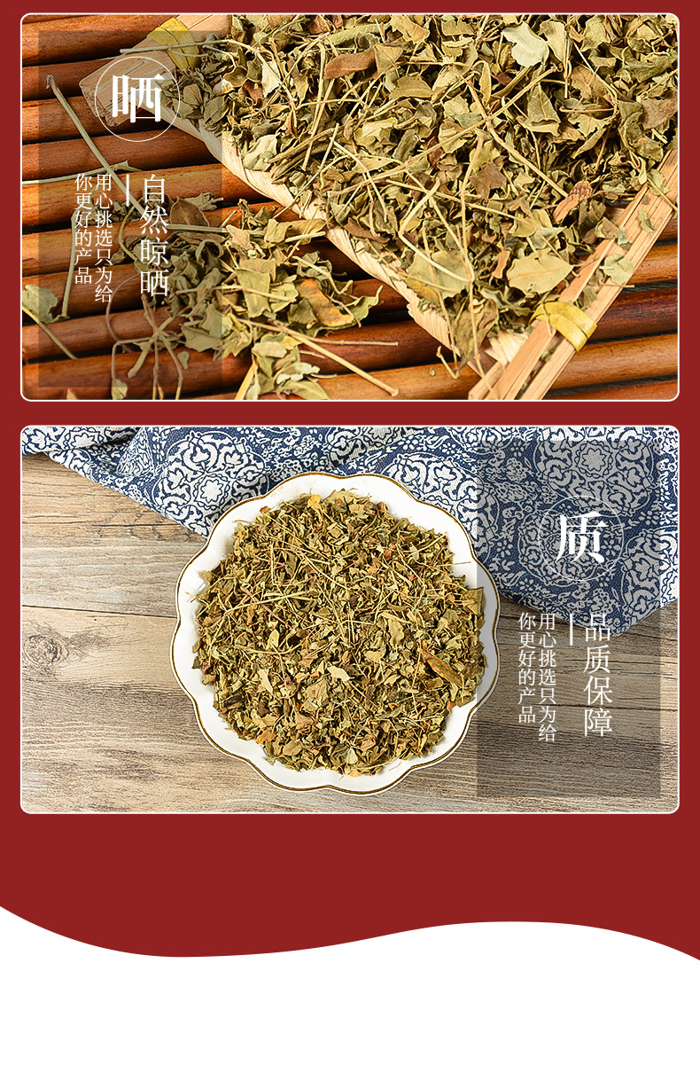 Moringa Leaf (Moringa oleifera) — Dried Food Herb, 500g Wholesale Pack specifications