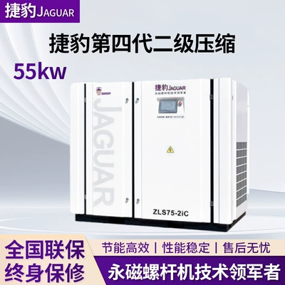 Jaguar Air Compressor 55Kw 75 Hp 55 Kilowatt Two-Stage Air Compressor 10 Cubic Meter Screw Silent Air Compressor (Hava kompressorları)
