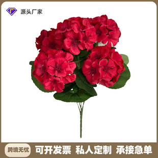 �羳���ÿ����Ļ��ٻ��[���Ҿӿ͏dͥԺ�Gֲ���滨���������b�