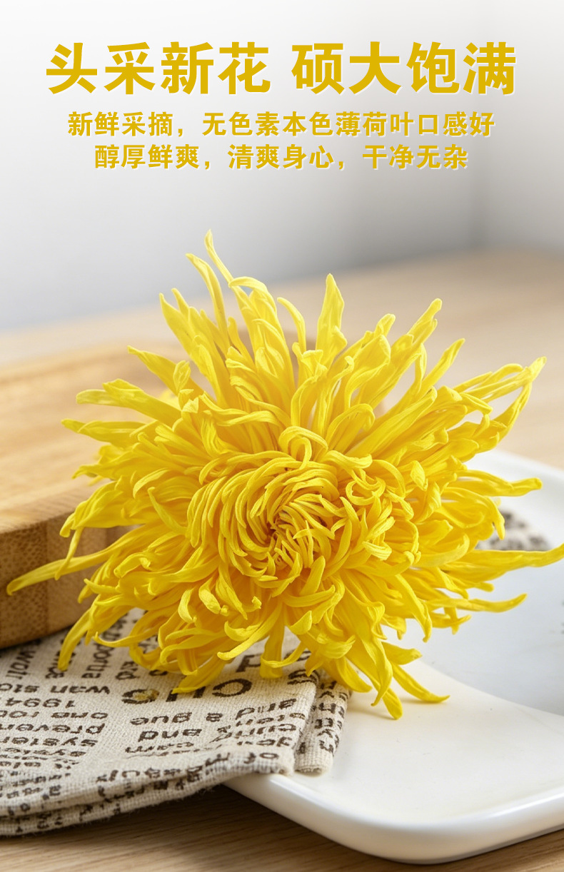Golden Silk Imperial Chrysanthemum Tea (Chrysanthemum morifolium) — Premium Dried Flower Herbal Tea in use