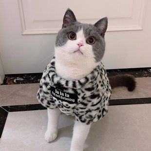 Super cute cat cute cold warm fleece-lined thick leopard print clothes puppet cat silver gradient pet clothing wholesale