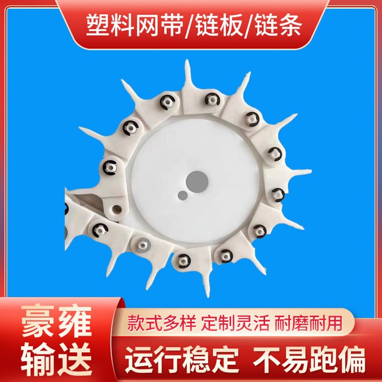 输送链  输送鸡蛋链条  传送鸡蛋专用链条 节距49.5蛋类输送链