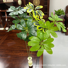 ����Gֲ3������ľ�͏d�Ҿ��bƵ���h�Ҕ[���̈������쾰�zӰ