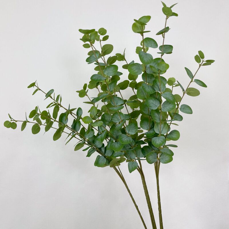 Simulation single branch 5 fork eucalyptus money leaf wedding home decoration simulation plant wholesale green plant soft outfit layout Simulation single branch 5 fork eucalyptus money leaf wedding home decoration simulation plant wholesale green plant soft outfit layout
