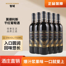 �̓r���l�����M�ڼt�Ƹɼt���Ѿƴ������̈Fֱُ��һ�����l