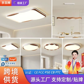 风扇灯;吸顶灯;成套灯具