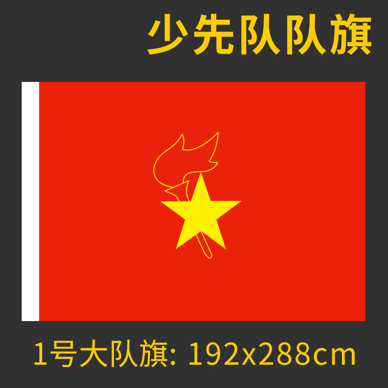 少先队中队旗手摇旗手持大队旗小队旗中队旗杆2号3号4号大队旗户|undefined