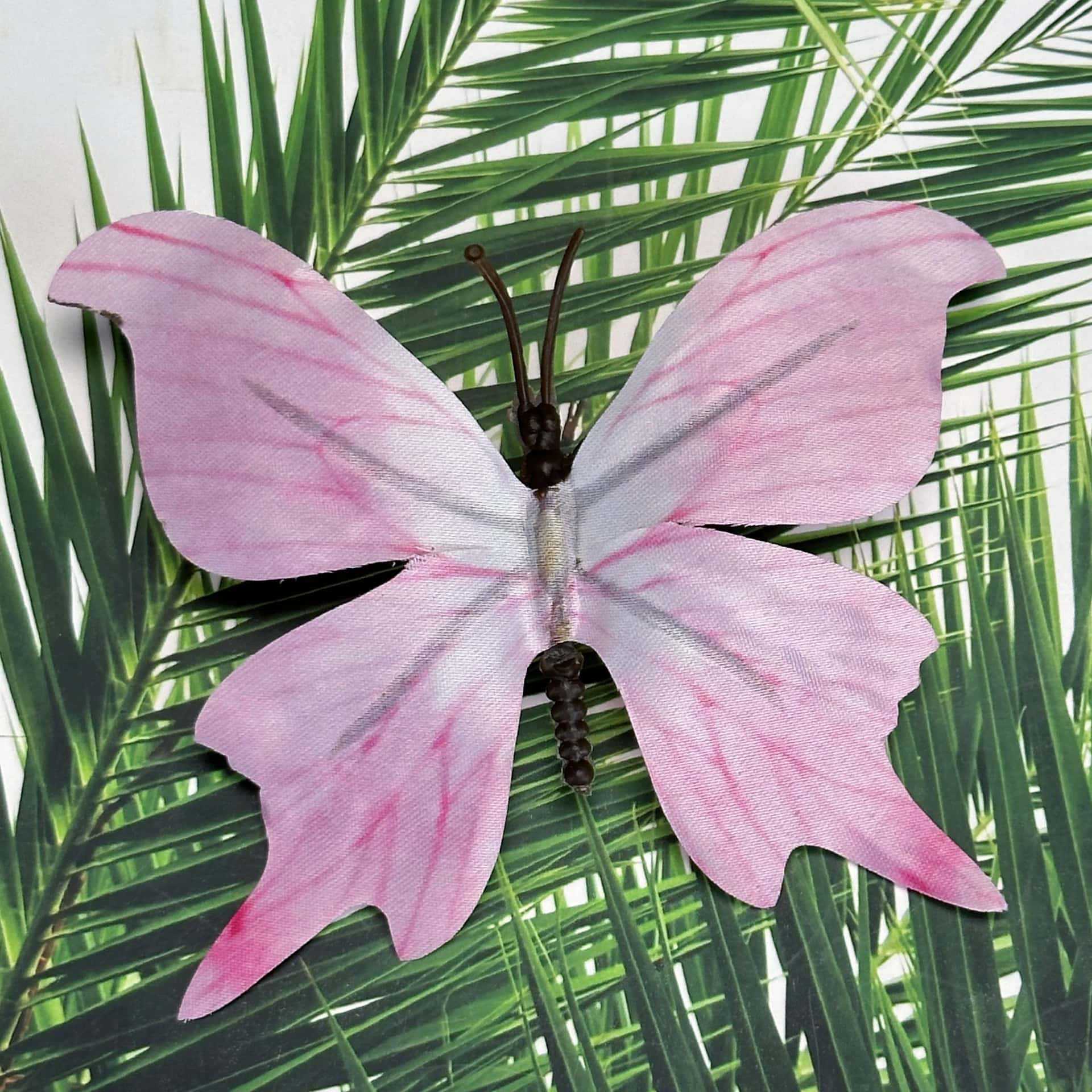 Seda 11CM color mariposa talla grande 31