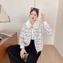 �r�����bŮ�����OӋ��ëë�����ë��Ƭ���»����~β����ȹ�ɼ���