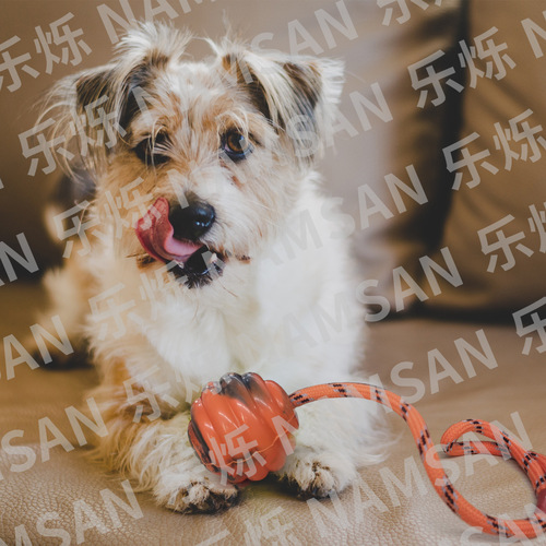 Pet Toy Ball Rope Rubber Training Interactive Bite-Resistant Educational Molar and Teeth Cleaning Ball Factory Direct Sales