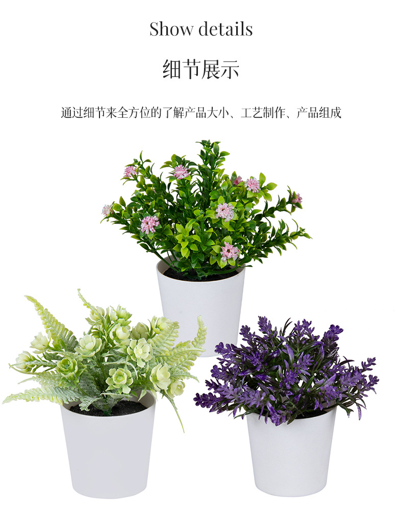 组合盆栽_06.jpg