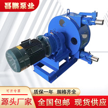 RGB75软管泵门芯灌浆发泡水泥蠕动泵悬浮液颗粒杂质输送泵泵头