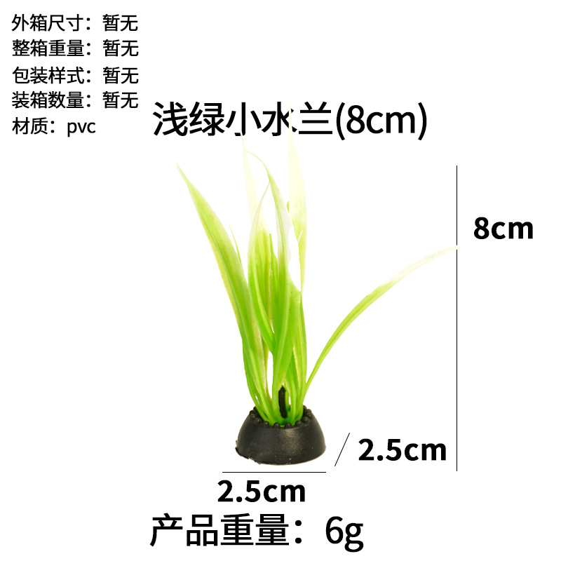 Pequeña orquídea de agua verde claro (8cm)