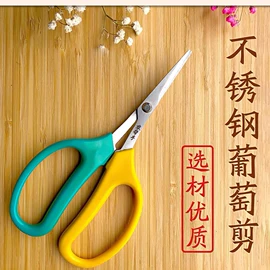 修枝剪;家用剪刀;家用菜刀
