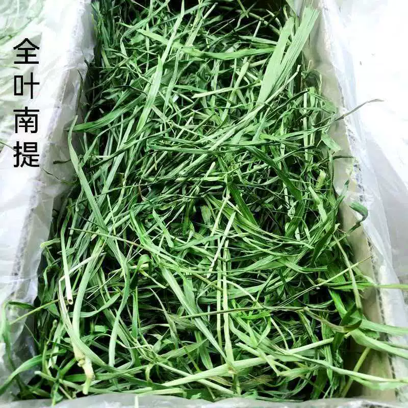 Сенаж из сегментов сухой травы тимофеевки премиум-класса, 25 лет выдержки, для кроликов, шиншилл, морских свинок, 500 г