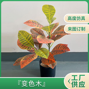 ins�Wʽ׃�~ľ�����˹��잢����С���҃ȼҾӼ٘��辰�bGֲ