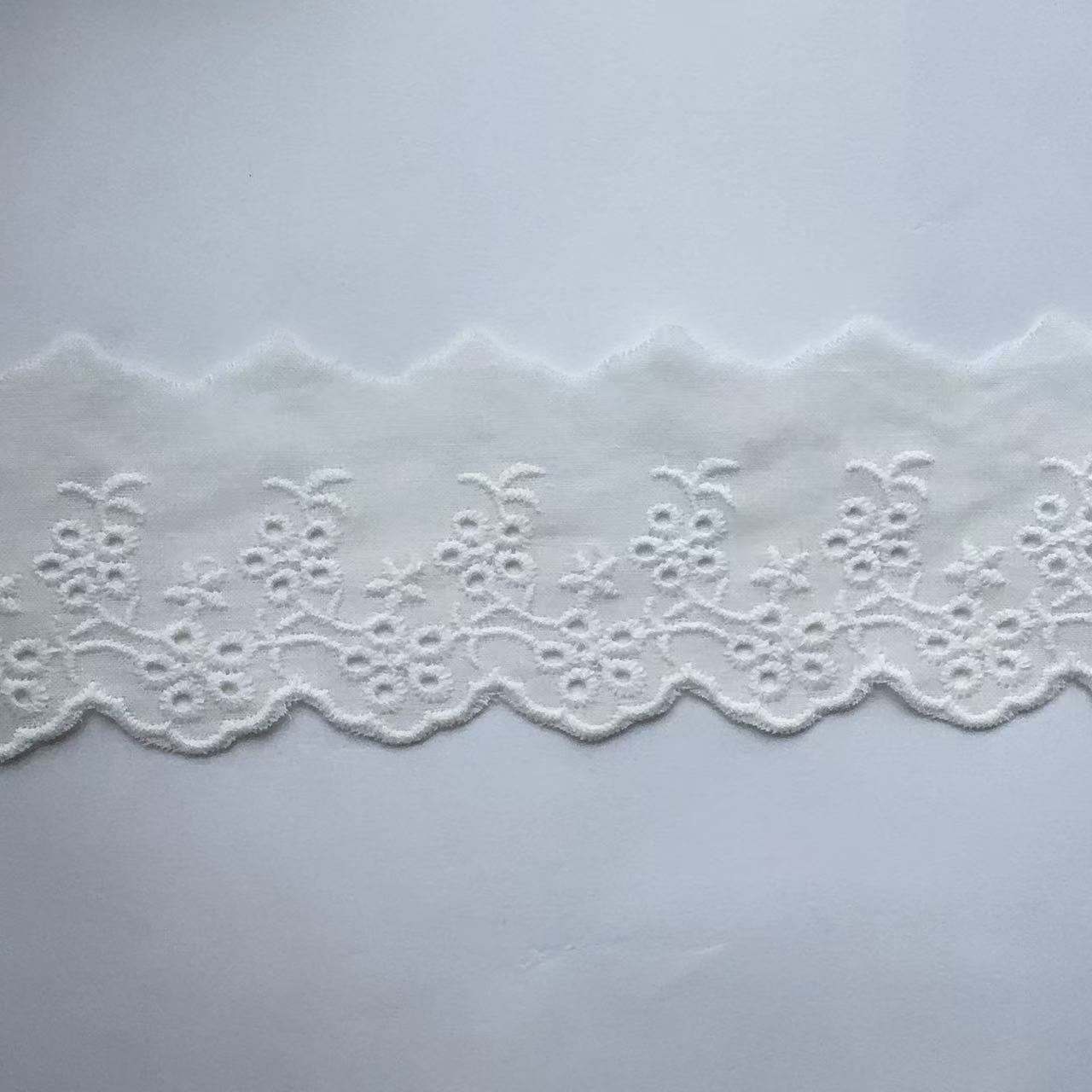 微信图片_20250313071512