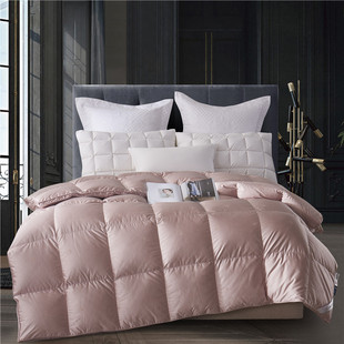 ¿zỨΌq ԳqZqƷđl